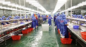 giải pháp khử mùi hôi nhà máy chế biến thủy sản